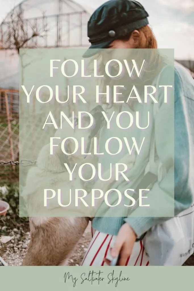 follow your heart blog pin